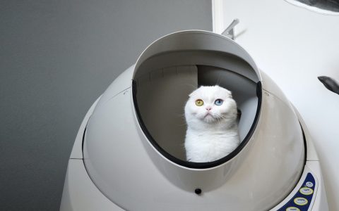 AUTOPETS | CONSUMER TECH PR CASE STUDY